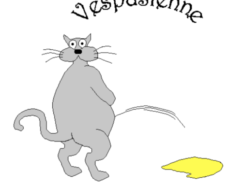 Le chat malpropre